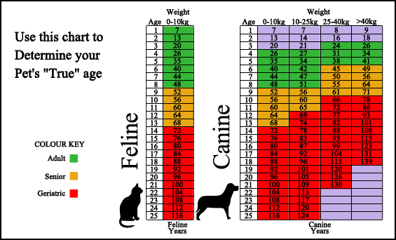 Willow Creek Veterinary Clinic - Surveillance Screening