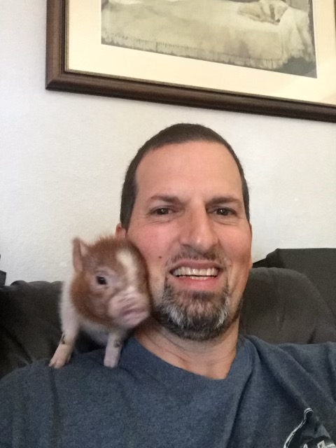 Taro Cuetara, DVM with a pet pig